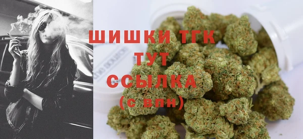 ПСИЛОЦИБИНОВЫЕ ГРИБЫ Лагань