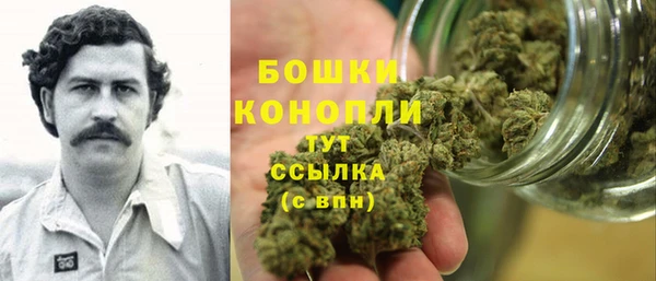 ПСИЛОЦИБИНОВЫЕ ГРИБЫ Лагань