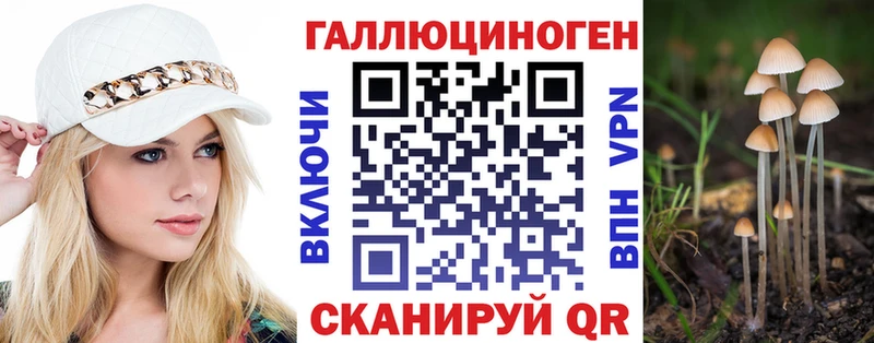 Купить где  Кинель  Псилоцибиновые грибы прущие грибы 